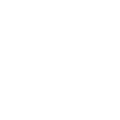 Engine management icon